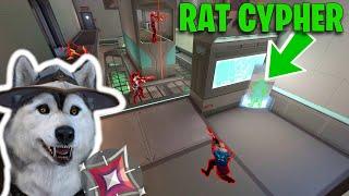 I just took rat Cypher to the next level