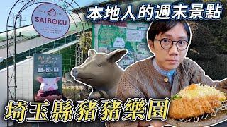 零旅客的本地人週末景點！埼玉縣豬豬主題公園。食靚豬浸溫泉買特產！