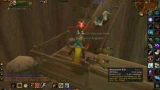 me doing gerenzo Wrenchwhistle in WoW