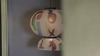 Novedades de Andtradition en Decodoos