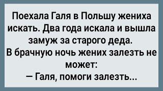 Как Галя в Польше Женихов Искала! Сборник Свежих Анекдотов! Юмор!