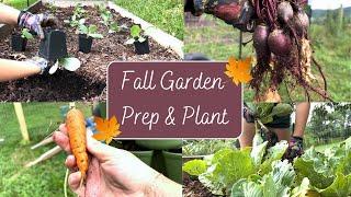 Prepping and Planting the Fall Garden | Zone 6