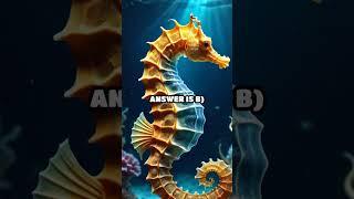 The Secret Lives of Seahorses Quiz
