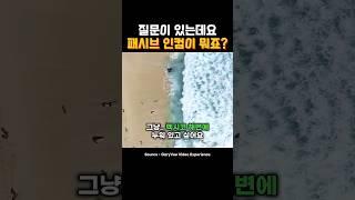 패시브 인컴의 진실
