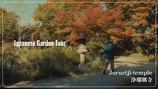 (VLOG) A 900-year-old Japanese garden. I went to see the garden at Joruri-ji Temple.