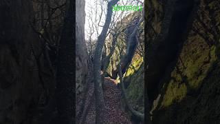 Уникальные места Украины. Река Ингул. Красота природы. Лабиринт. Место силы. Инсталокация. #зоотроп