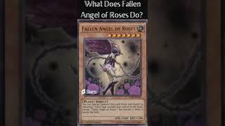 What Does Fallen Angel of Roses Do?