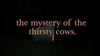 The Mystery of the Thirsty Cows