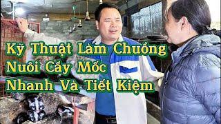 Kỹ Thuật Làm Chuồng Cầy và Chồn Đơn Giản Và Tiết Kiệm Cho Người Nuôi Ít/ Hợp Tác Xã Bảo Tồn Động Vật