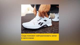 полезные советы на все случаи жизни