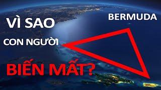 Loài Nào Sống Dưới Đáy Tam Giác Quỷ Bermuda?