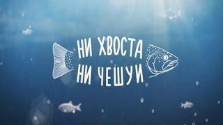 Ни хвоста, ни чешуи! Выпуск 6