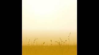 soft winds by Gritav S Reddy #music #songs #peaceful #beautiful