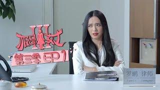 《极品女士3》第1集 Wonder Lady S3 EP1（宋佳/姚晨/大鹏/乔任梁/郭采洁/陈伟霆/孔连顺/姜潮）| Caravan中文剧场