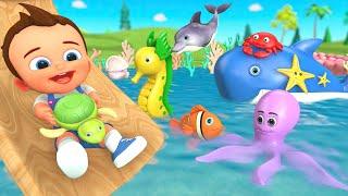 Educational Fun for Kids: Learn Aquatic Animal Names, Colors, Shapes, Numbers & Fruits with Puzzles!