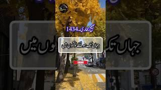 Hadees e Nabvi | Best Hadees | Hadith Of Prophet Muhammad | Hadees Mubarak | Hadees Sharif #shorts
