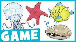Learn Sea Animals for Kids | What Is It? Game for Kids | Maple Leaf Learning