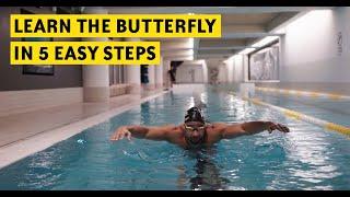 Learn the Butterfly Stroke in a 5 EASY STEPS