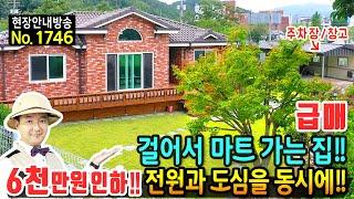 (급매) 걸어서 마트 가는 집 사정상 6천만원 내리는 전원주택 매매 급매물 고급 내외장재 제대로 가꾼 정원과 잔디마당 진짜 도심 속 전원생활의 칠곡부동산 - 발품부동산TV