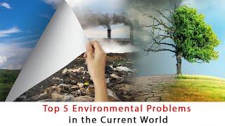 Top 5 Environmental Problems in the Current World