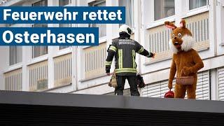 Feuerwehr rettet Osterhasen am Seenland Klinikum Hoyerswerda