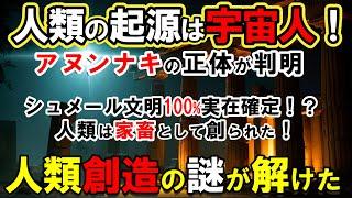 【宇宙人】人類の起源、99.9%が間違っていた！アヌンナキが残した"衝撃の証拠"と最古の文明の謎！シュメール文明が隠し続けた人類創造の真実【都市伝説】