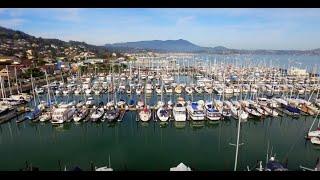 Vanguard Marin: Forward Thinking Real Estate II