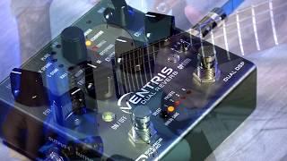 Delay and Reverb Combo: The Ventris Dual Reverb