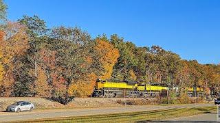 NYS&W SU99 in fall foliage #susquehanna #su99