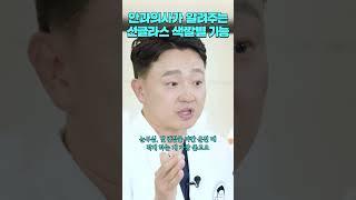 안과의사가 알려주는 선글라스 색깔별 기능 #shorts/ 소탐대실