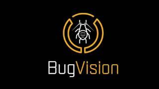 BugVision Template