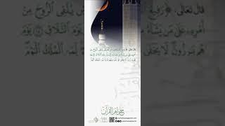 جواهر القرآن
