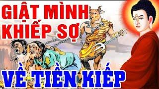 Chuyện Nhân Quả Báo Ứng, Nghe GIẬT MÌNH KHIẾP SỢ Về TIỀN KIẾP Của 1 Cô Gái _ Đọc Truyện Đêm Khuya