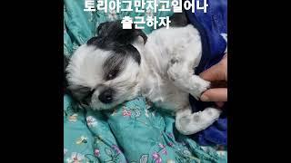 토리그만자고출근하자.