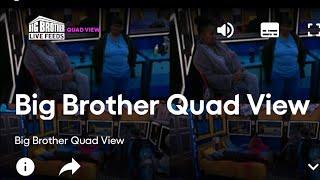 How To Watch Big Brother Live Feeds Free