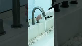 KBIS recap ️