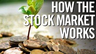 STOCK MARKET FOR DUMMIES  How The Stock Market Works