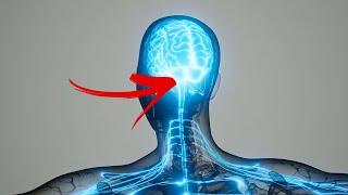 [Try To Listen For 30 Seconds] 639 Hz BINAURAL BEATS for HEALING #shorts #meditationmusic