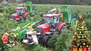 36 Million Christmas Trees Are Harvested In America This Way | Agriculture Technology