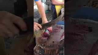 Amazing Tuna Fish Cutting an expert Fish Cutter In Meenukadai Fish Market #shorts #tuna #fish