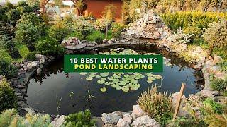 10 Best Water Plants for Your Water Garden  | Pond Landscaping Ideas 