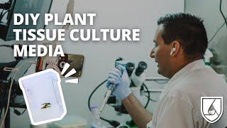 This is the easiest way to make plant tissue culture media!