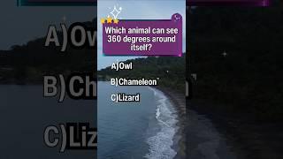 Quiz Hub-Too easy?How many correct answers did you get? #trivia #quiz #gameplay #fyp #games