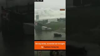 Strong winds, torrential rain brought by Typhoon Kong-rey