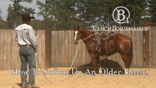 How To Soften Up An Older Horse Preview