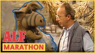 ALF & Willie on Adventures! | ALF | FULL Episode Marathon