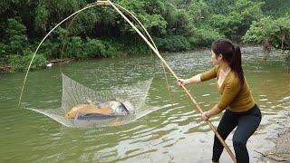 Traditional Fishing: How To Trap Stream Fish and Traditional Fishing with  Net, Catch a Lot Of Fish