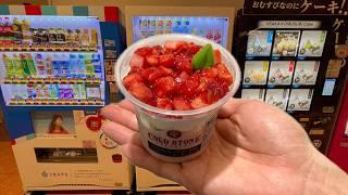 10 Japanese Unique Vending Machine Foods  Tokyo Haneda Airport