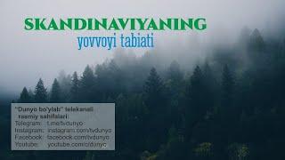 "Skandinaviyaning yovvoyi tabiati" - Dunyo bo'ylab TV