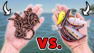 Live Bait & Artificial Lures… Which One Is Best?